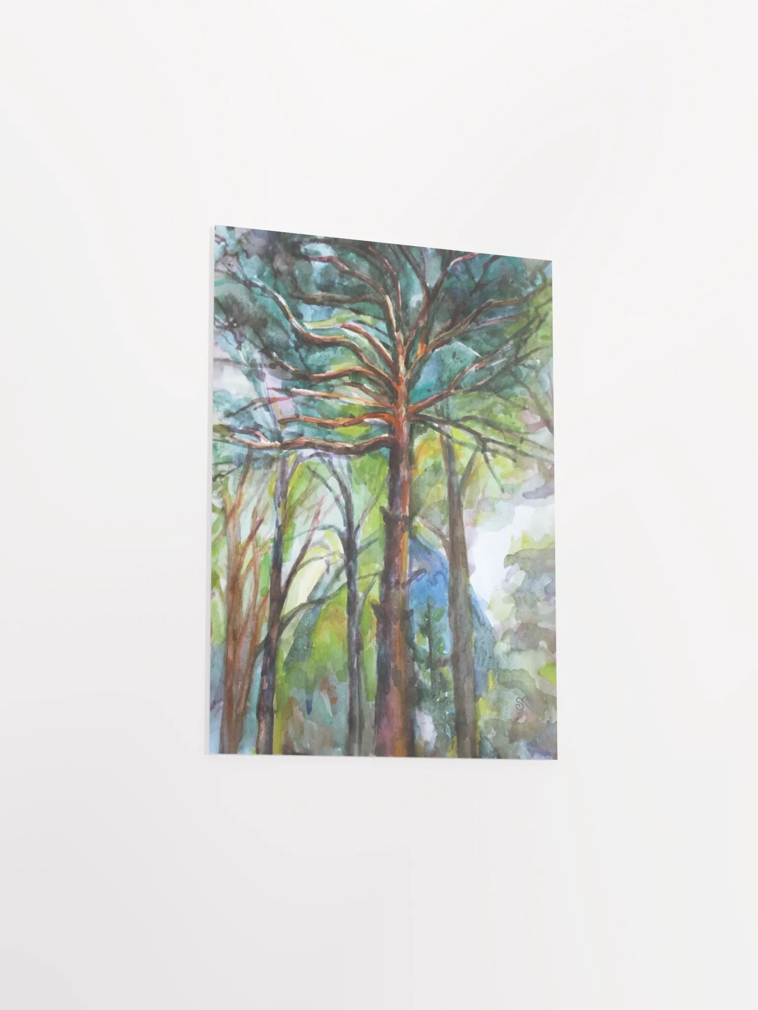 Enchanted Forest Watercolor Poster - Dacha Pine product image (6)