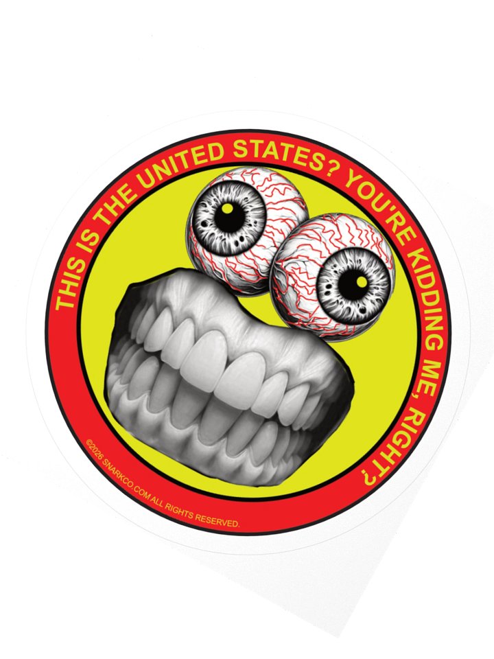 Colorful Stickers of Frazzle Face Say: This is the United States? You're Kidding Me Right? product image (2)