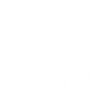 Caro