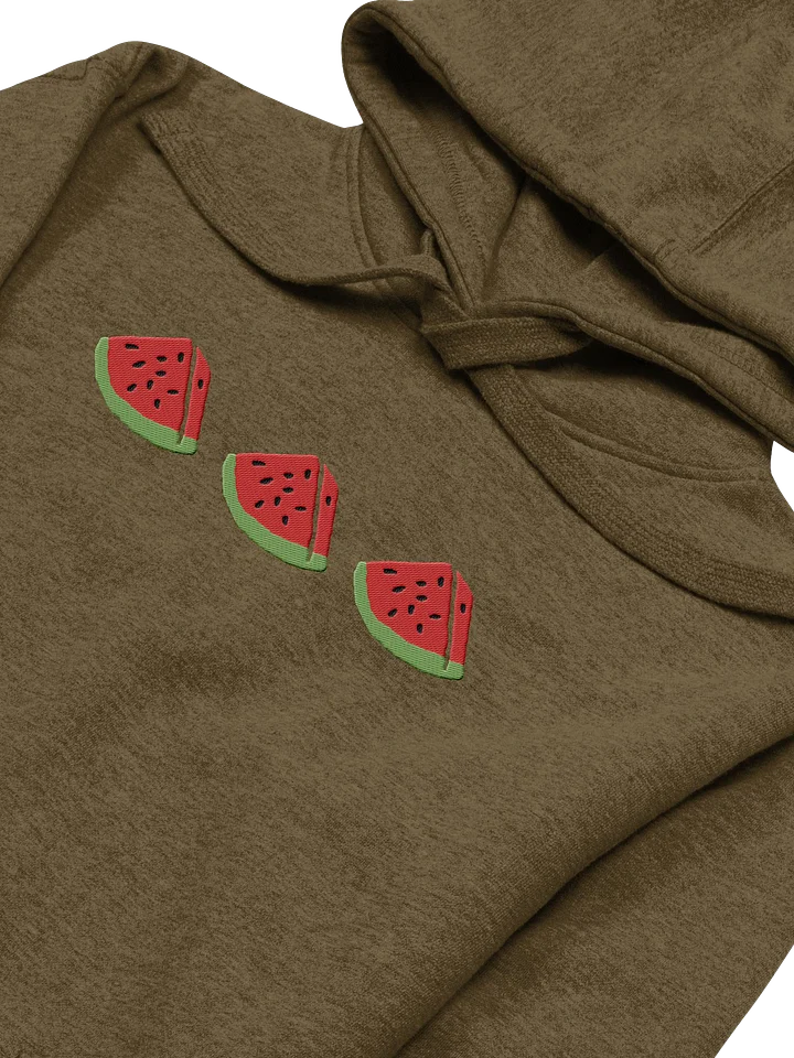 Sandia Embroidered Hoodie (green) product image (2)