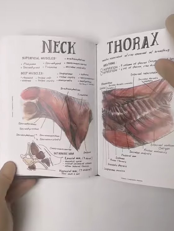 Vet Notes: Comparative Anatomy product image (3)