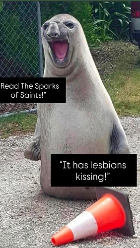 Did someone say sapphic?👀🩶

#thesparksofsaints #sapphicromance #wlw #paranormalromance #sapphicauthor