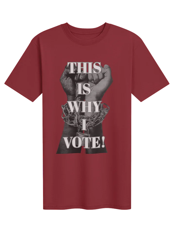 THIS IS WHY I VOTE product image (17)