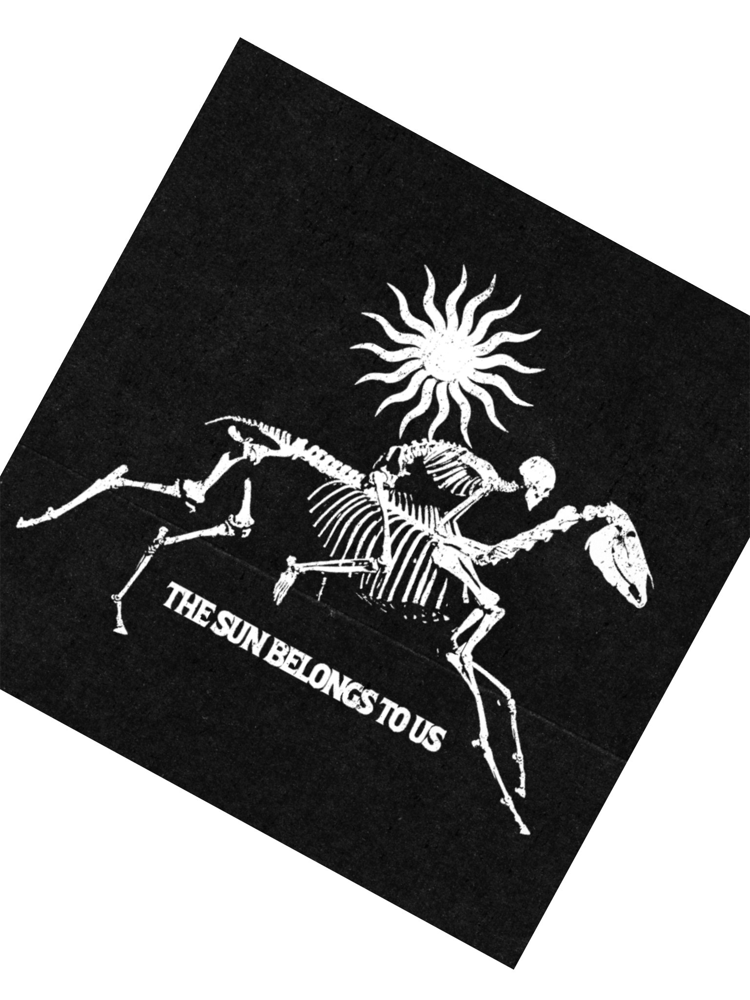 THE SUN BELONGS TO US LOGO STICKER product image (6)