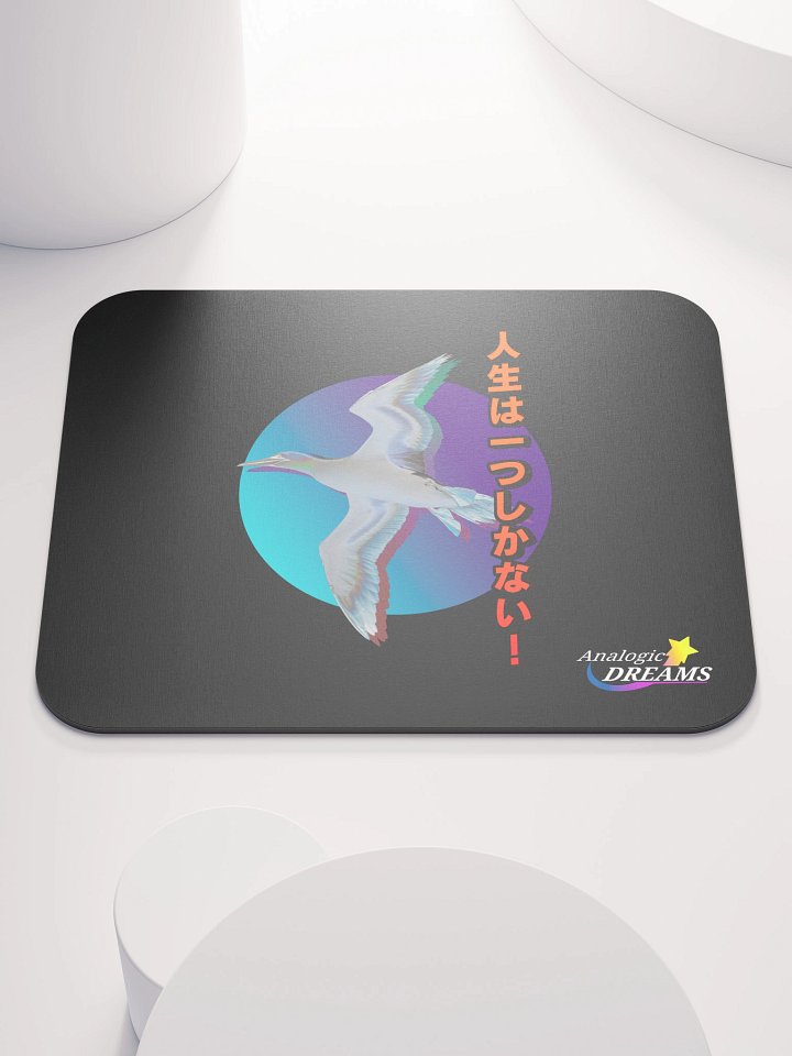 Seagull Sunset (Mouse Pad) product image (1)