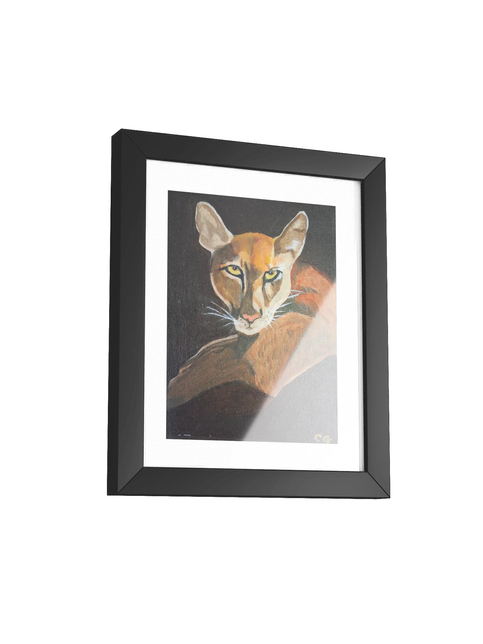 A Serious Puma from Carate — Framed Poster product image (4)