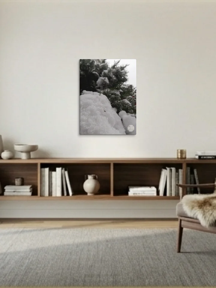 Snowy - Fine Art Canvas product image (1)