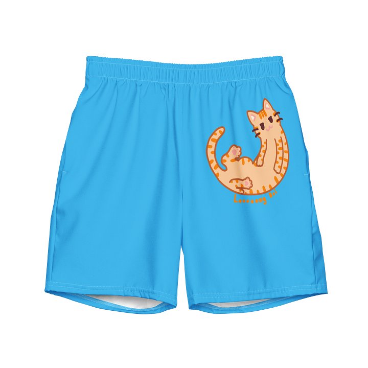 Looooong Boi Swim Shorts product image (1)