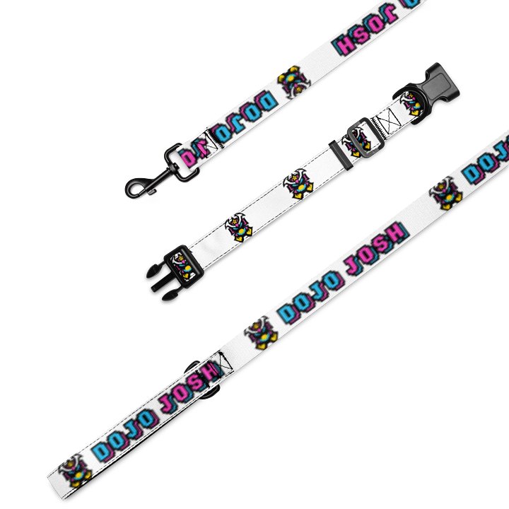 Dojo Pet Collar and Leash Set product image (1)