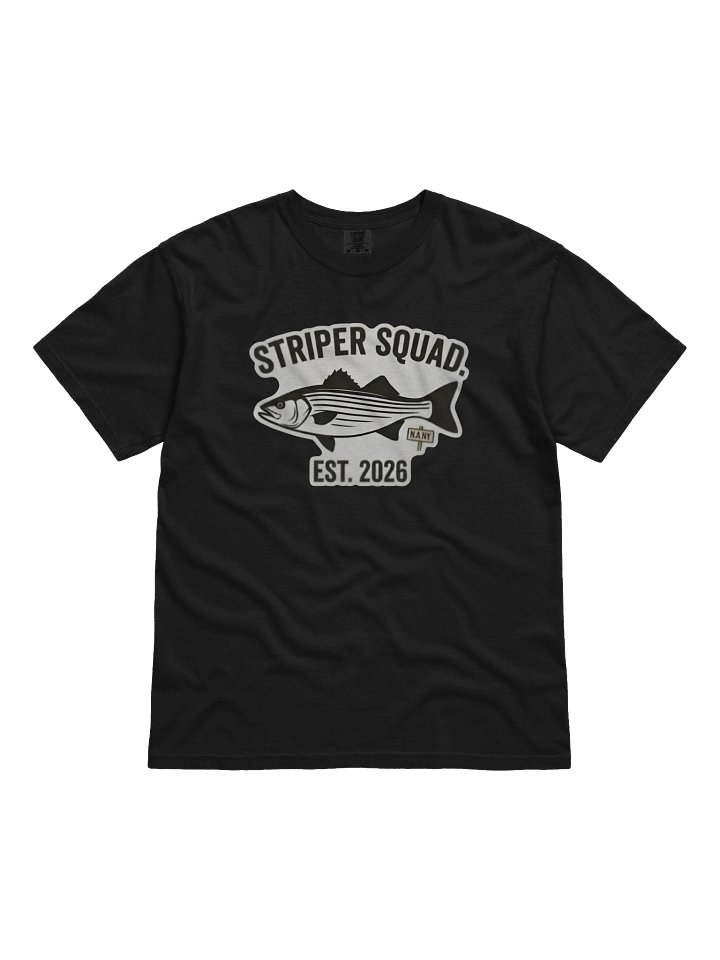 The Striper Squad - Dyed Heavyweight T-Shirt product image (2)