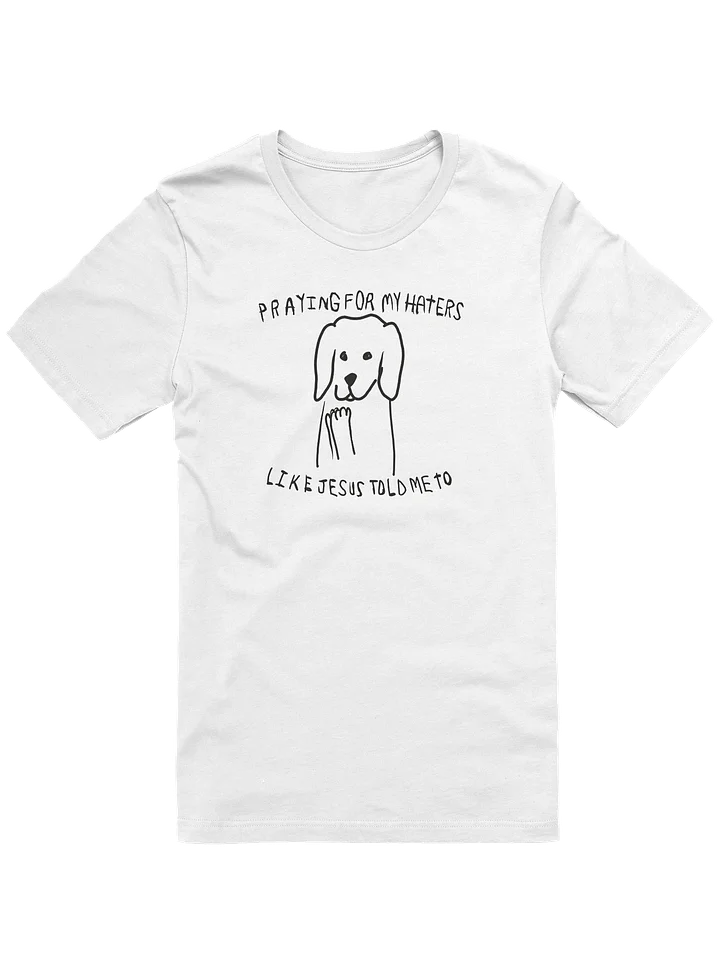Praying for my haters Statement Tee product image (1)