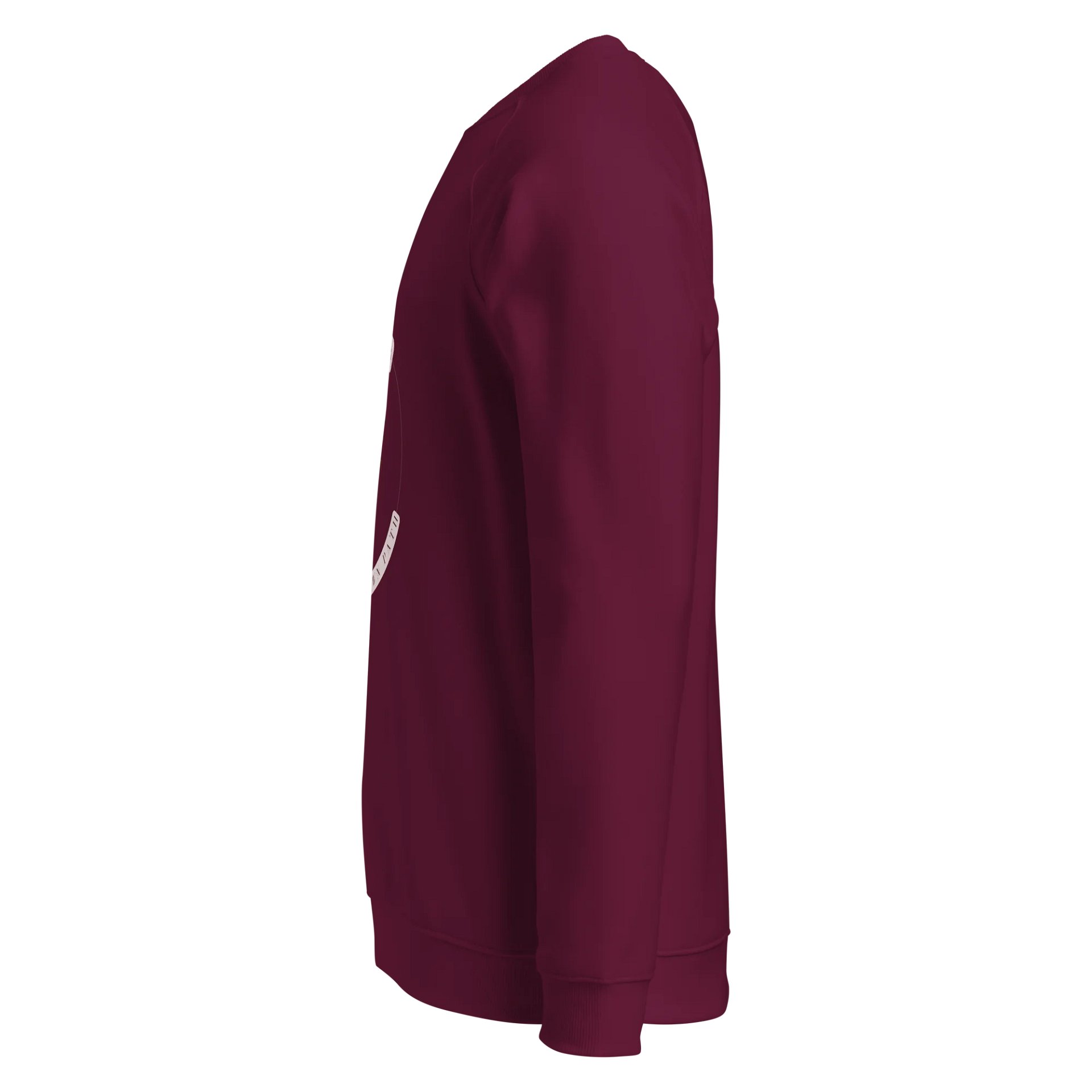 Women's Organic Raglan Sweatshirt ORFB0112 product image (4)
