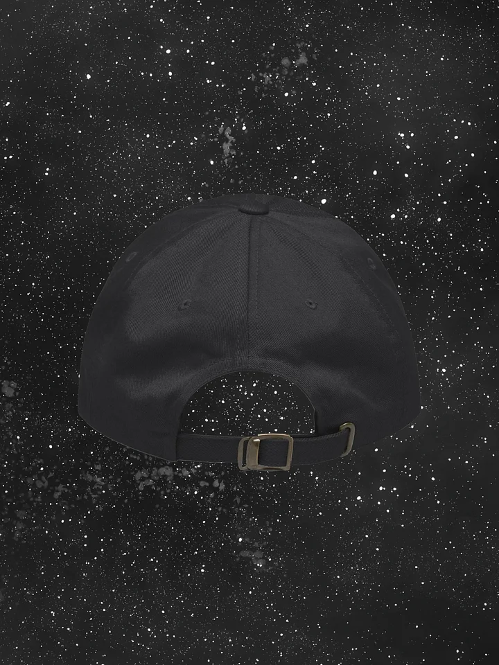VP Lettered Embroidered Hat product image (2)