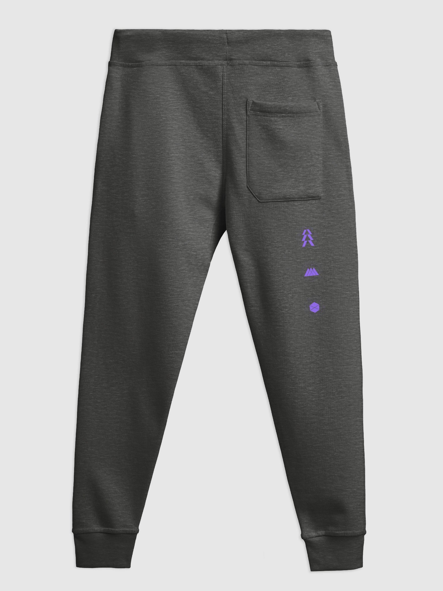 Raven Division Jogger product image (2)