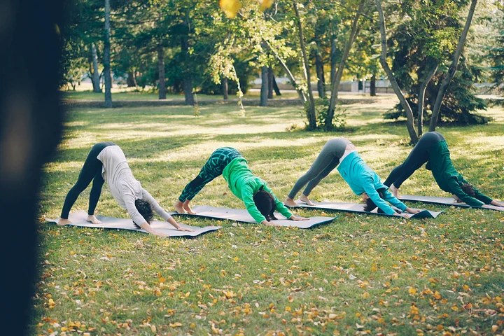 The Group Wellness Experience product image (2)