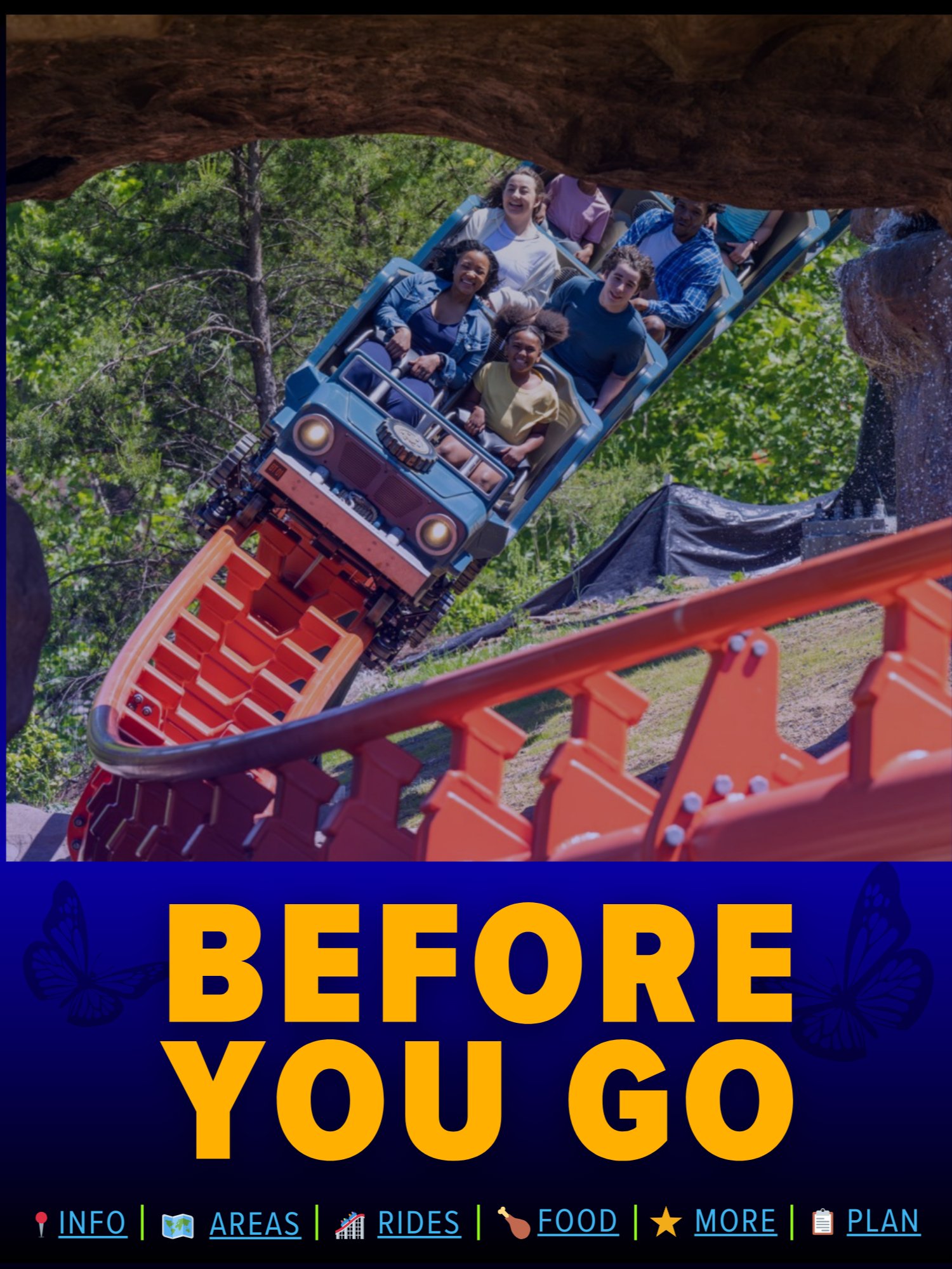 Dollywood Ultimate Guide 2026 | 76-Page Printable Digital PDF + Printer-Friendly Edition, Instant Download product image (10)