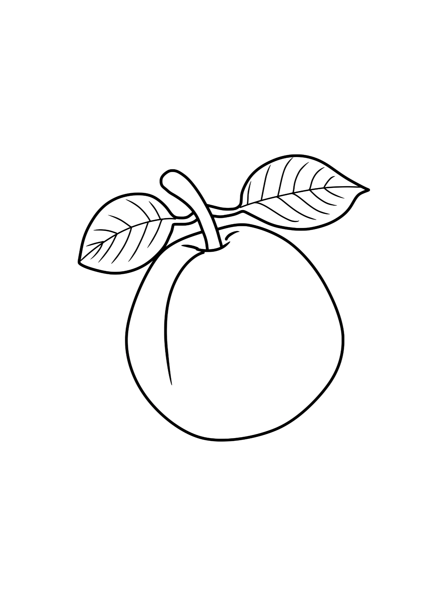 Fun Fruits Coloring Book product image (4)