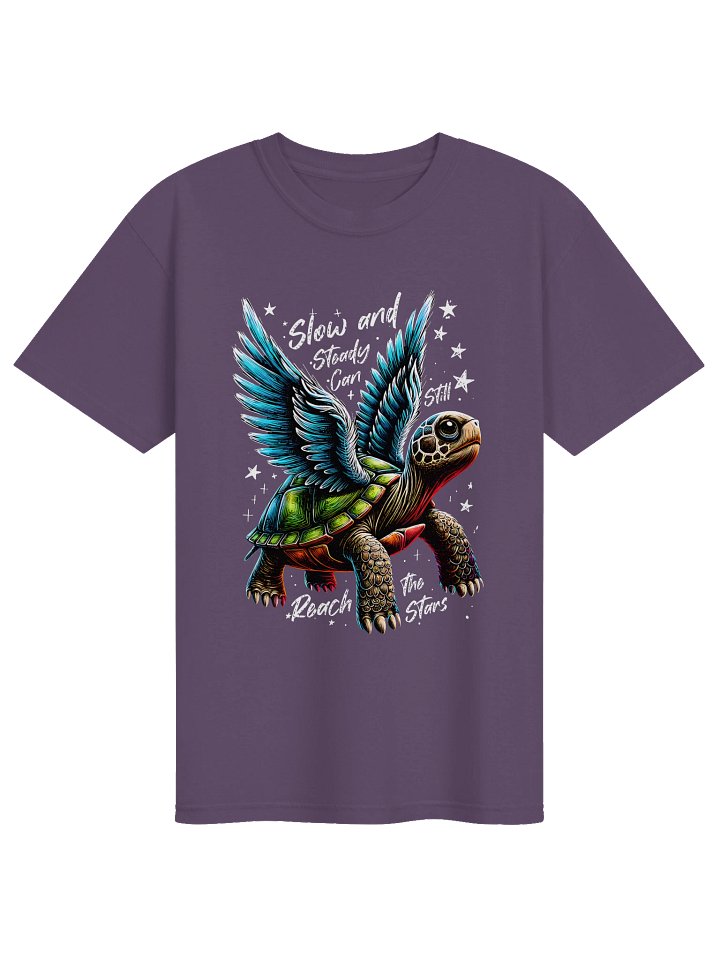 Slow & Steady: Stormbound Turtle product image (1)