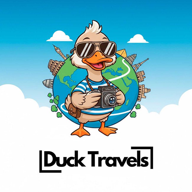 Traveller Duck