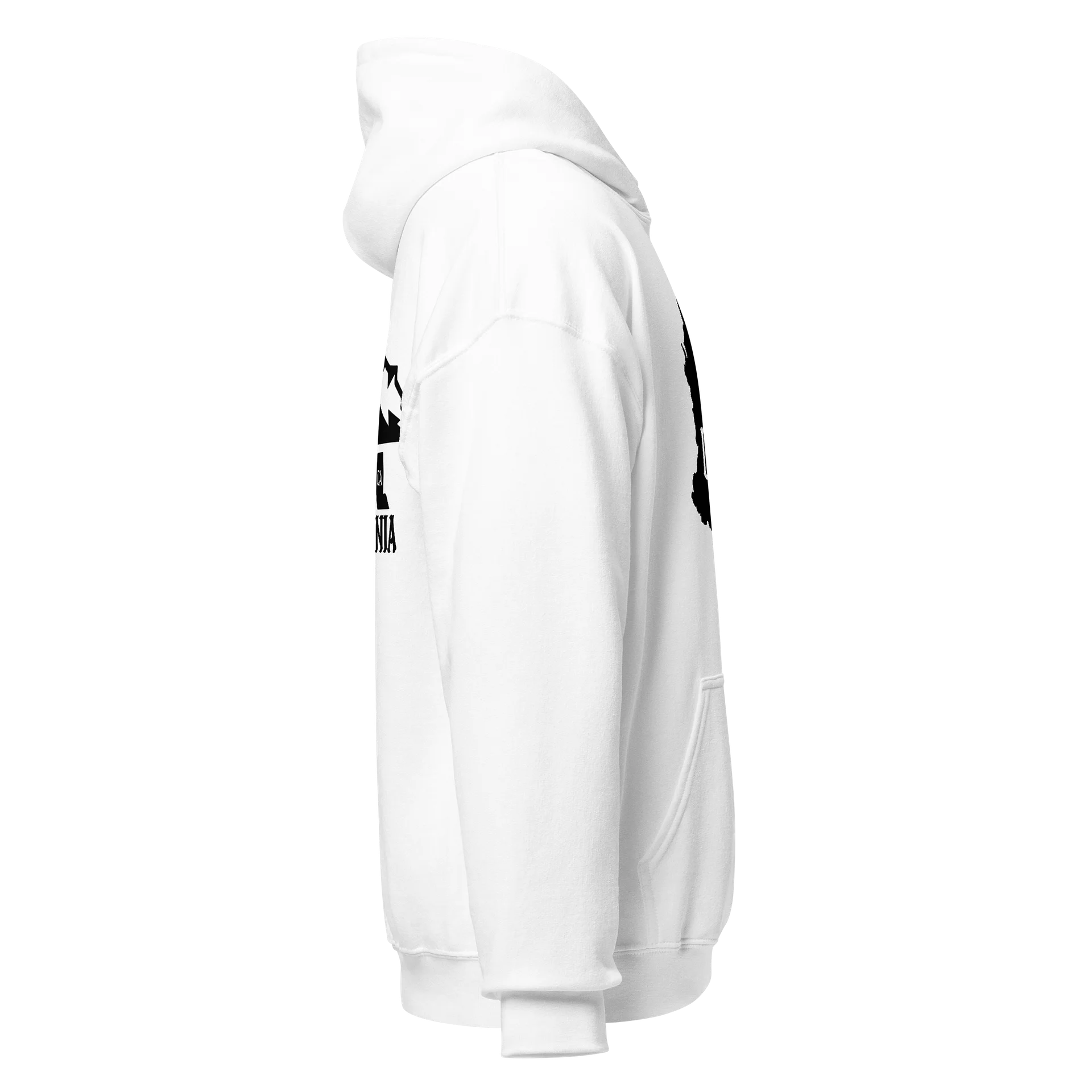 Cali Classic Hoodie product image (5)