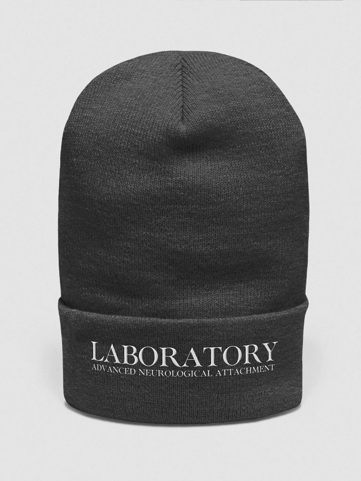 LAB Beanie (Embroidered) product image (6)