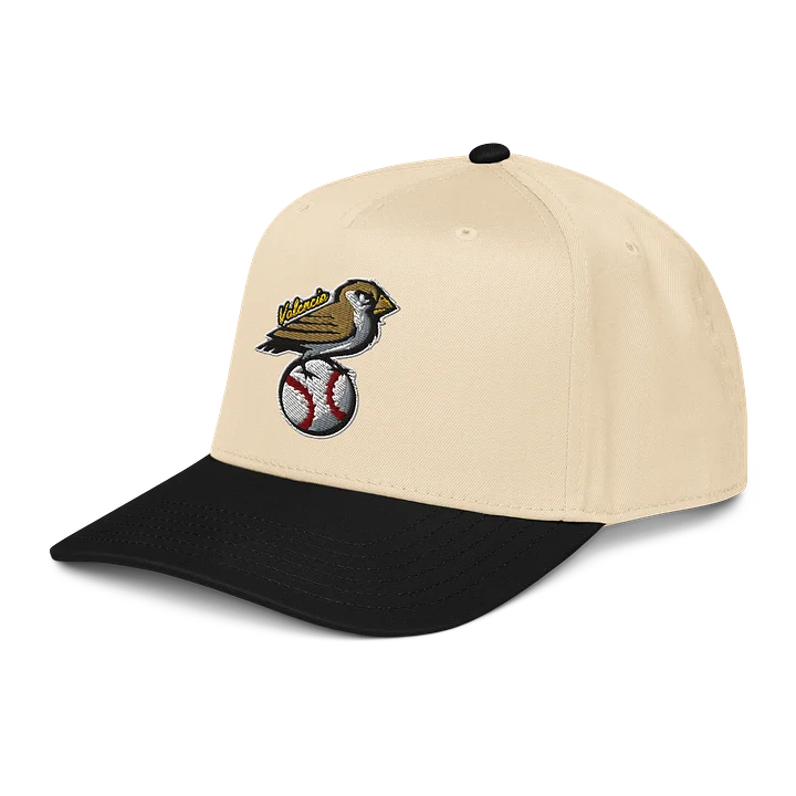 Golondrinas Valencia Baseball Cap (Snapback) product image (2)