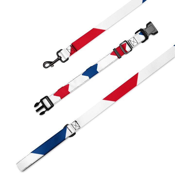 Vibrant Stripes Pet Collar & Leash Set product image (2)