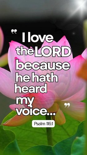 God Hears Your Voice
🩷🤍🩷🤍🩷🤍🩷🤍🩷🤍🩷🤍🩷🤍
Psalm 116:1 — “I love the LORD, because he hath heard my voice…”
#BibleVerses #DailyBible...