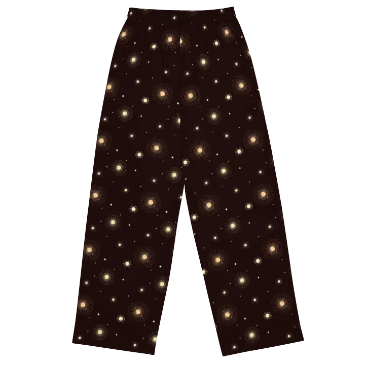Star Cluster - Wide Leg Pants product image (2)