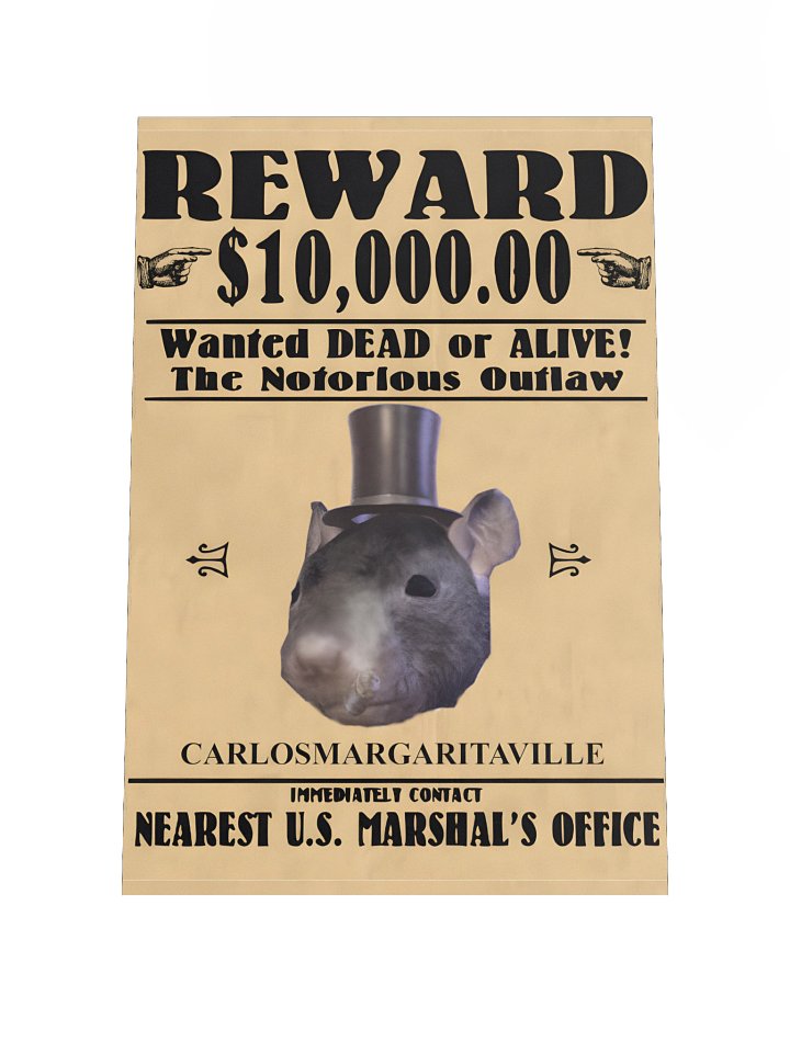 WANTED CARLOS POSTER product image (1)