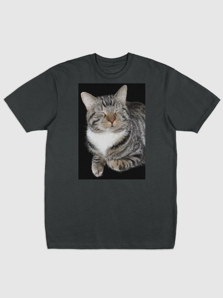 Scooter Cat product image (1)