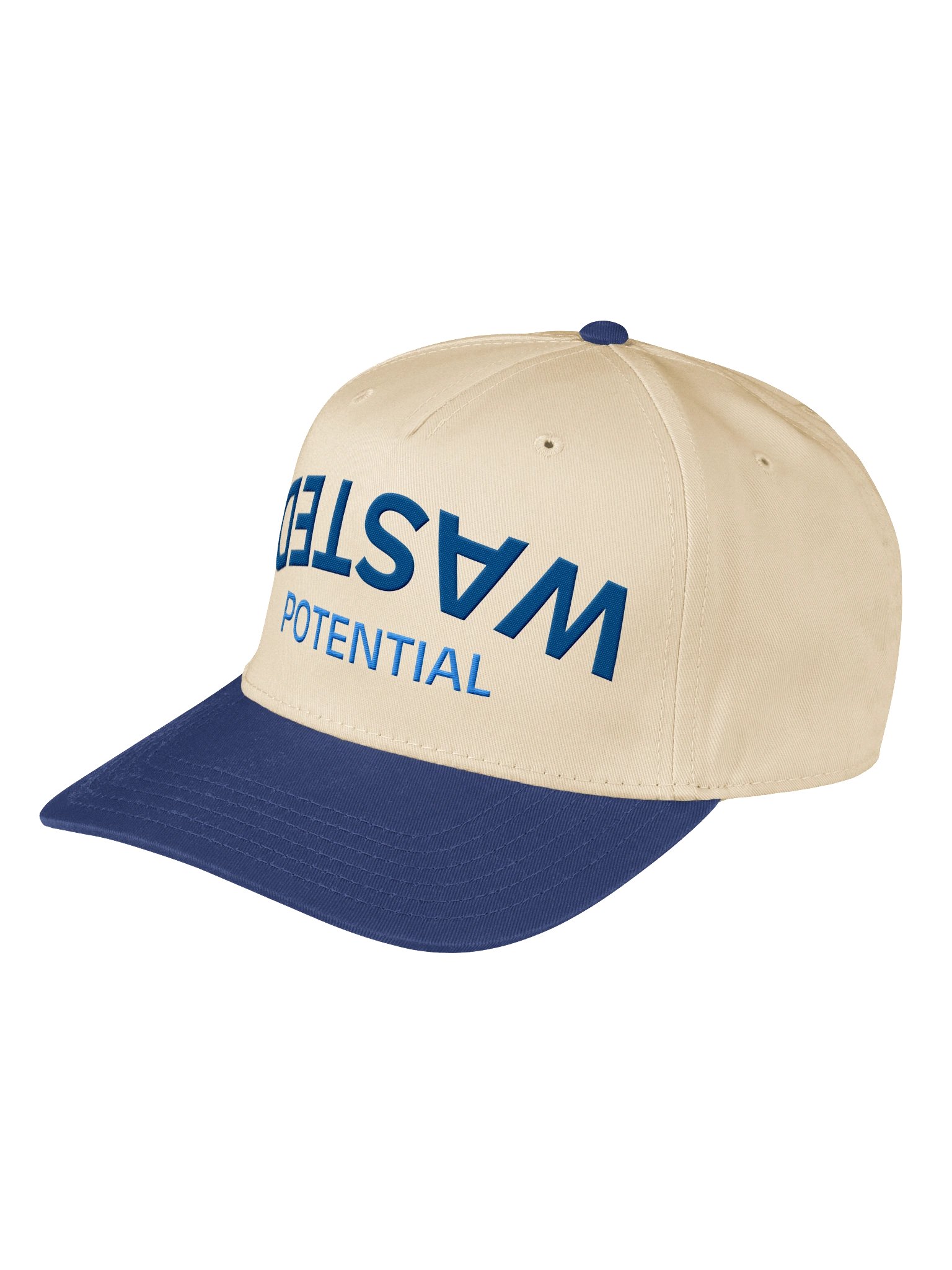 Upside Down Wasted Potential Hat product image (3)