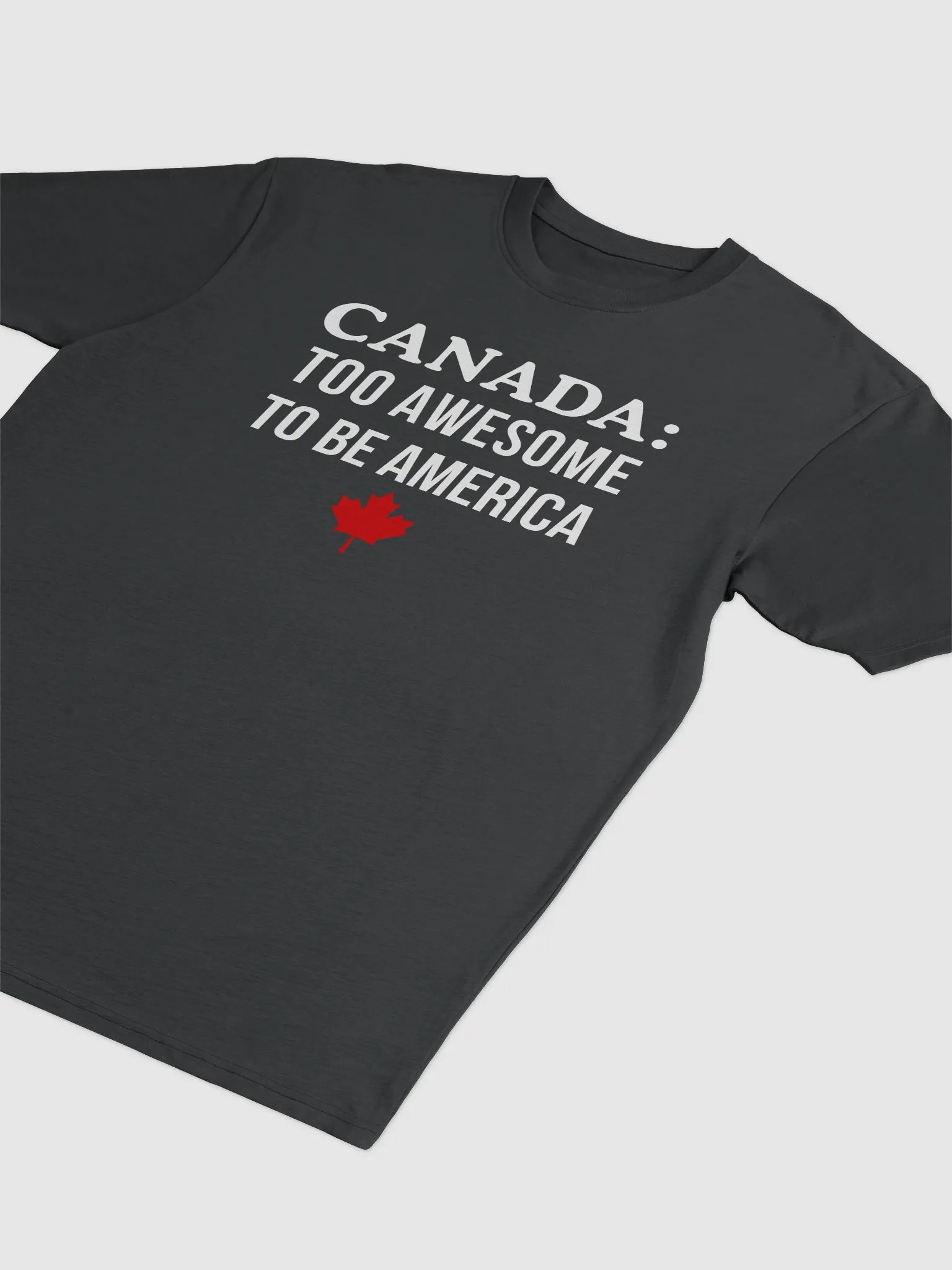 Canada Awesome Heavyweight Tee product image (3)