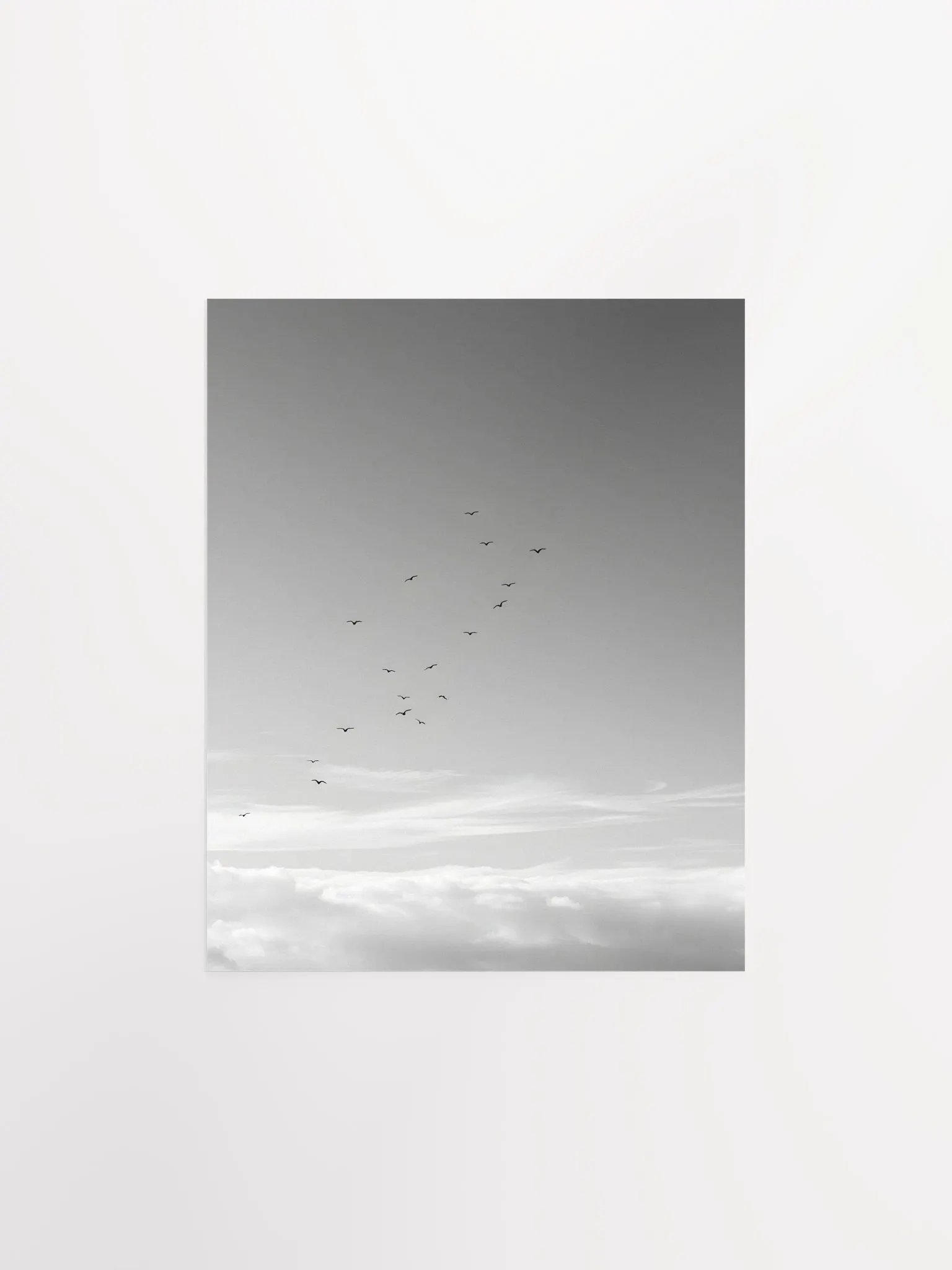 A Flock of Birds in Grayscale product image (2)