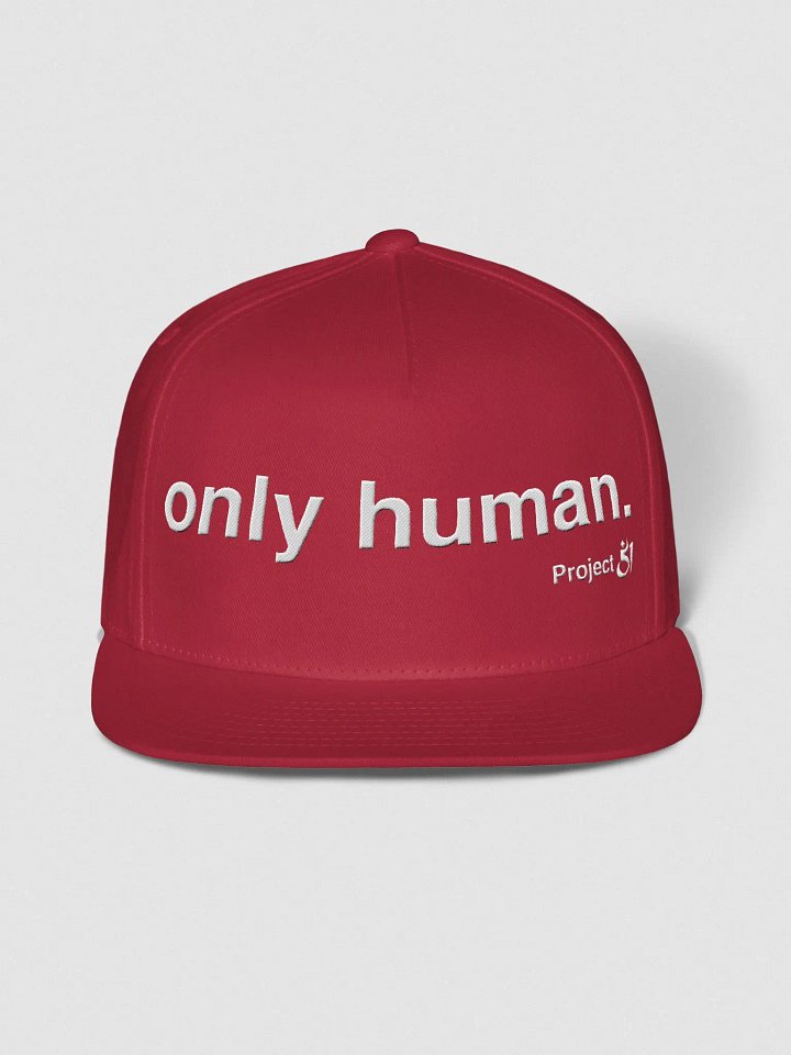 only human. snapback product image (1)
