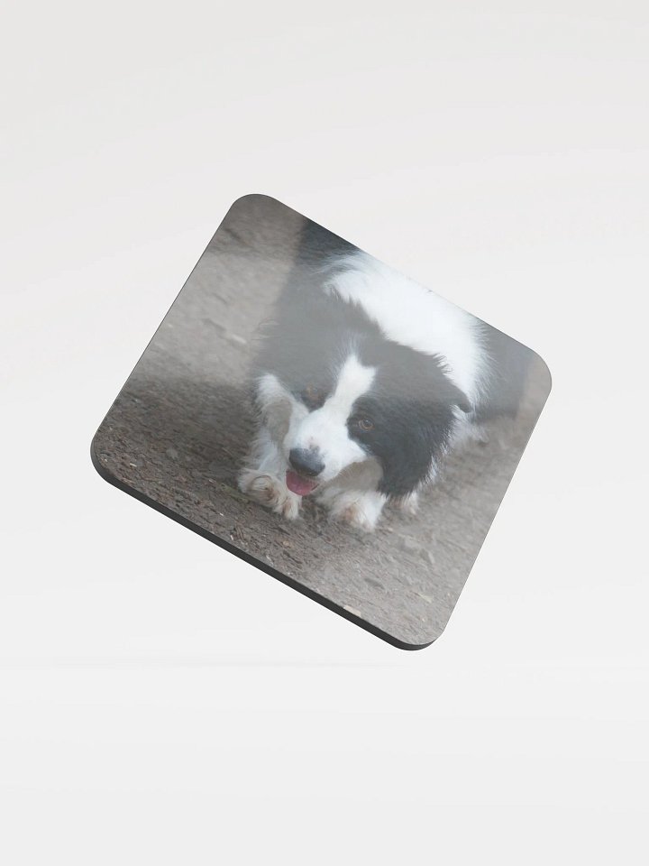 Dog running Coaster product image (1)