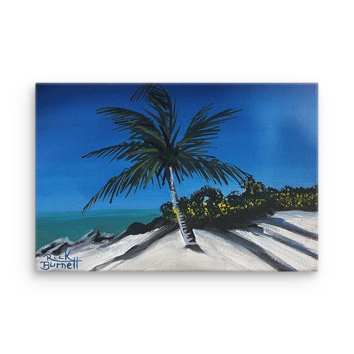 Rick Burnett Fort Zach Beach Thin Canvas Print product image (2)