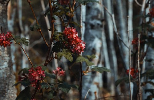To see more visit me at www.christianhuntphotography.com!
To show support please Like, Share, Follow and Comment! 
.
.
.
.
.
...