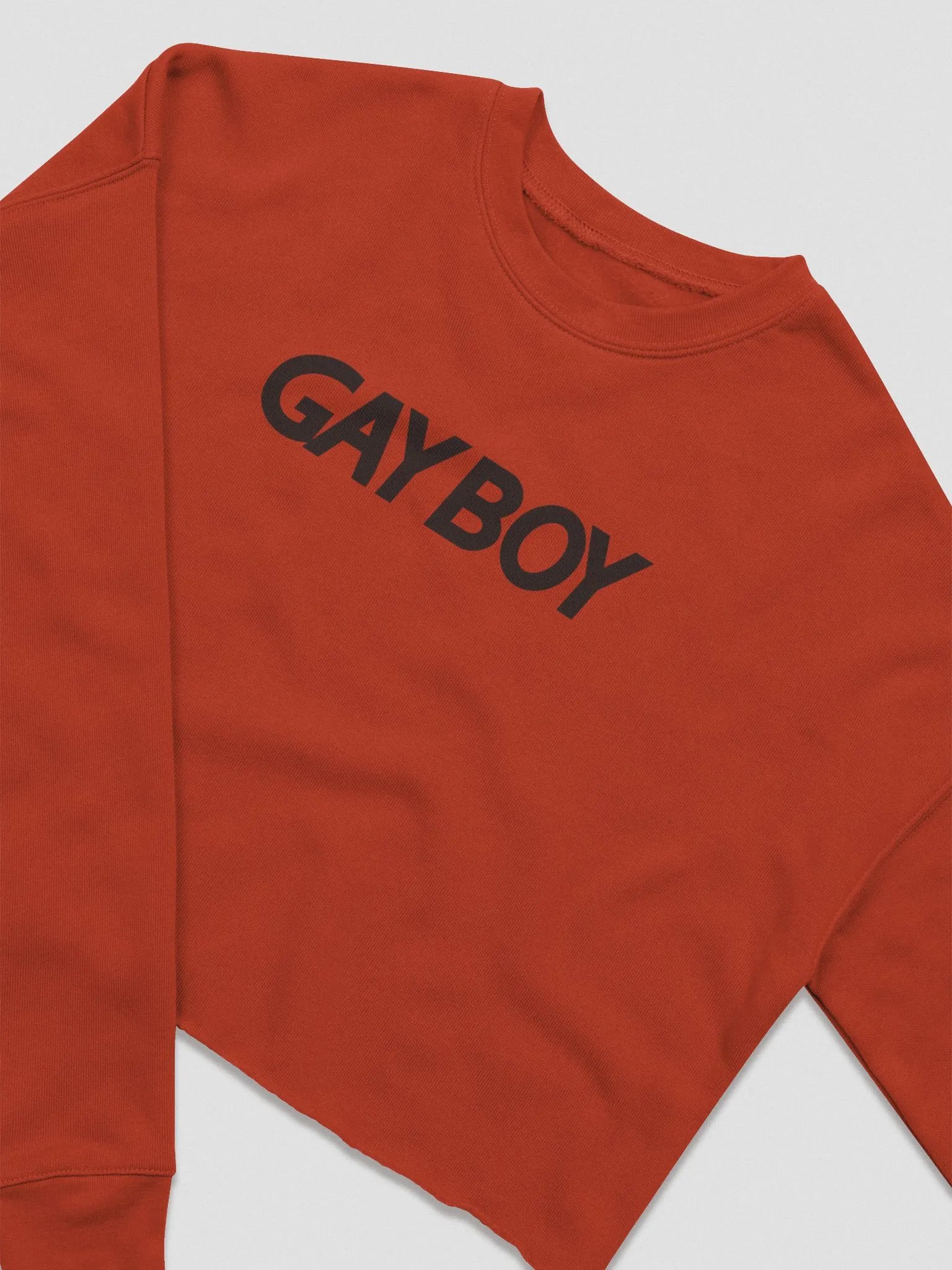 Gayboy Crop Sweater product image (4)