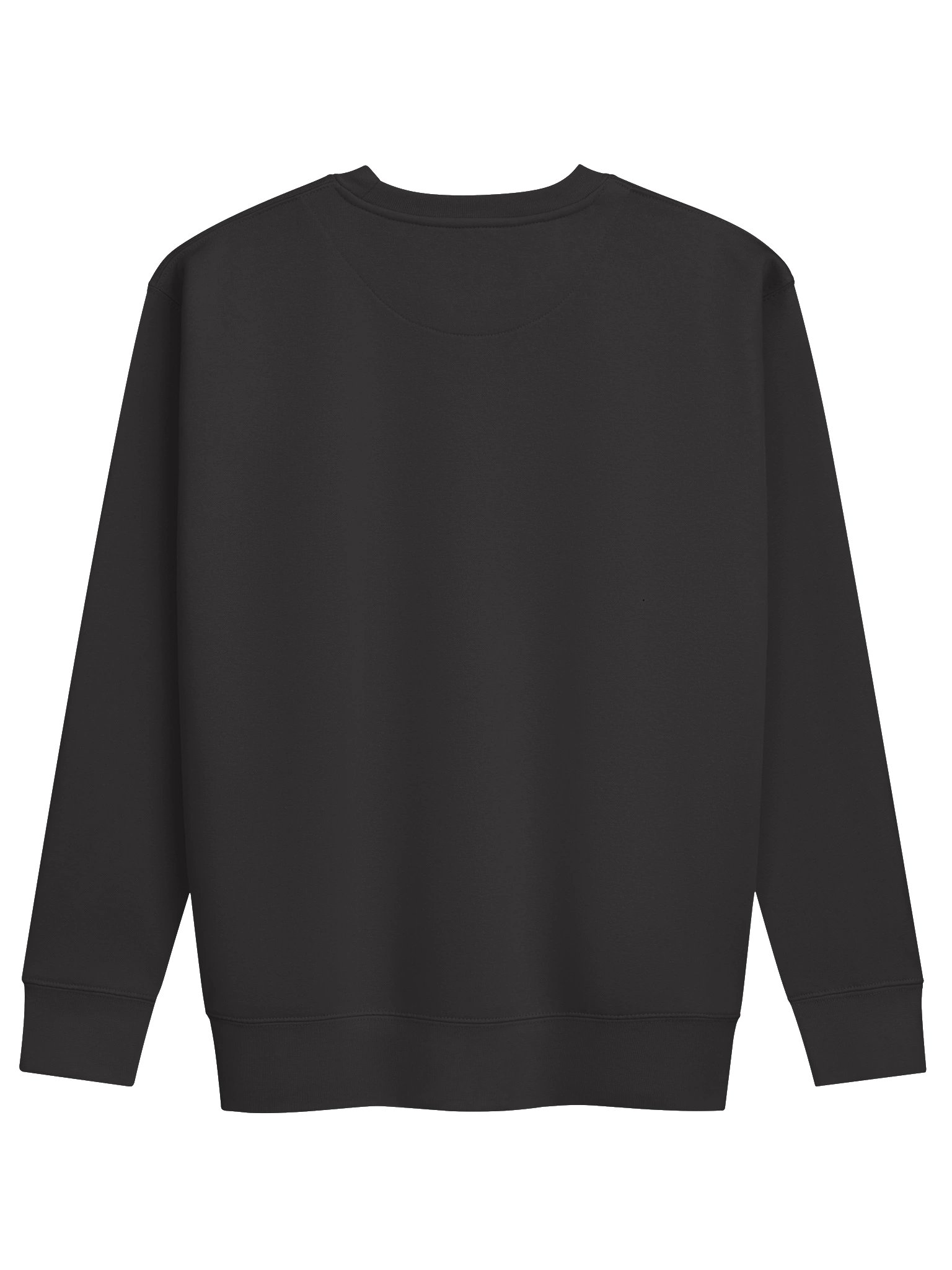 Full of Potential Premium Sweatshirt product image (2)