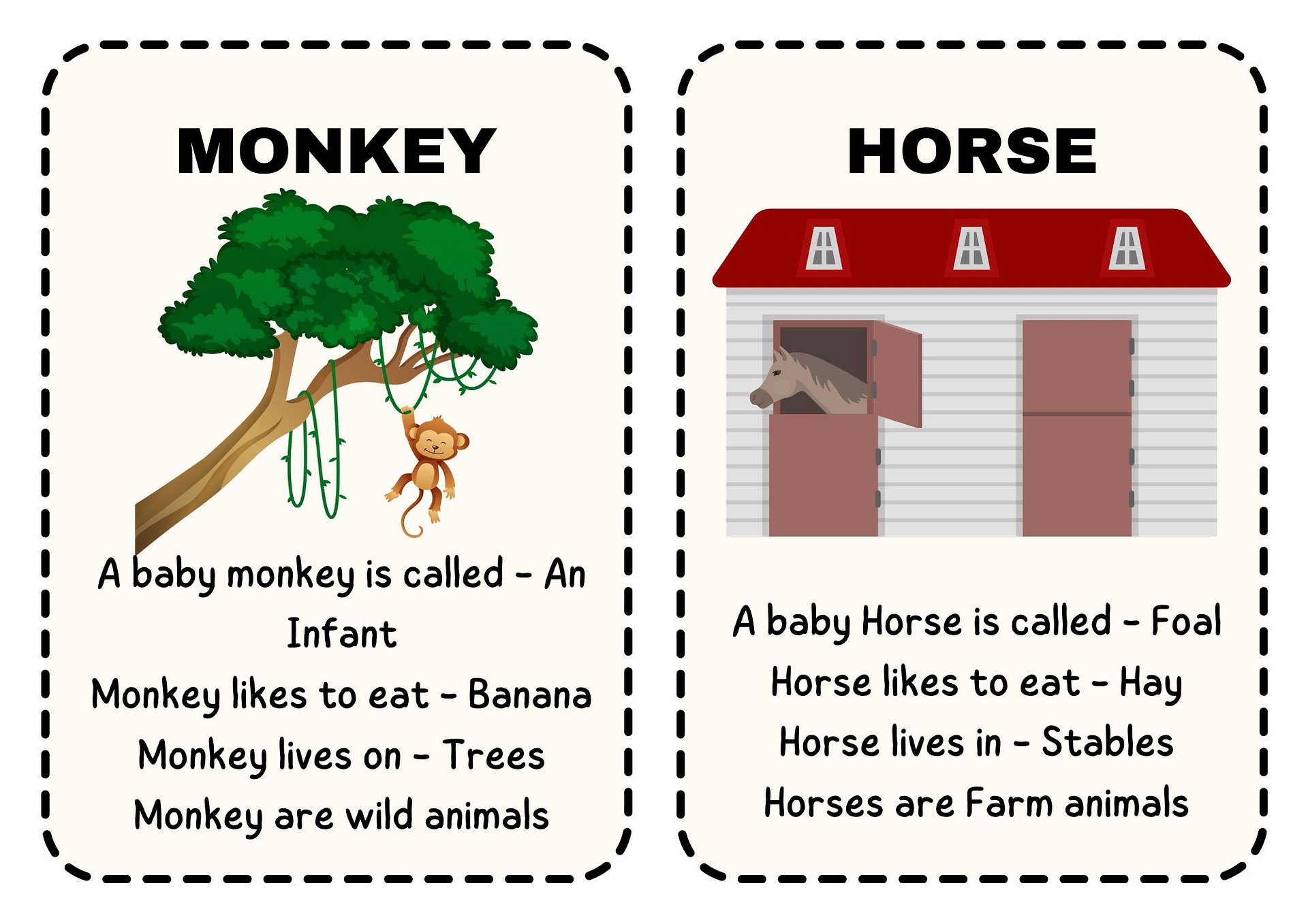Learn to Read - Animal Flashcards product image (3)