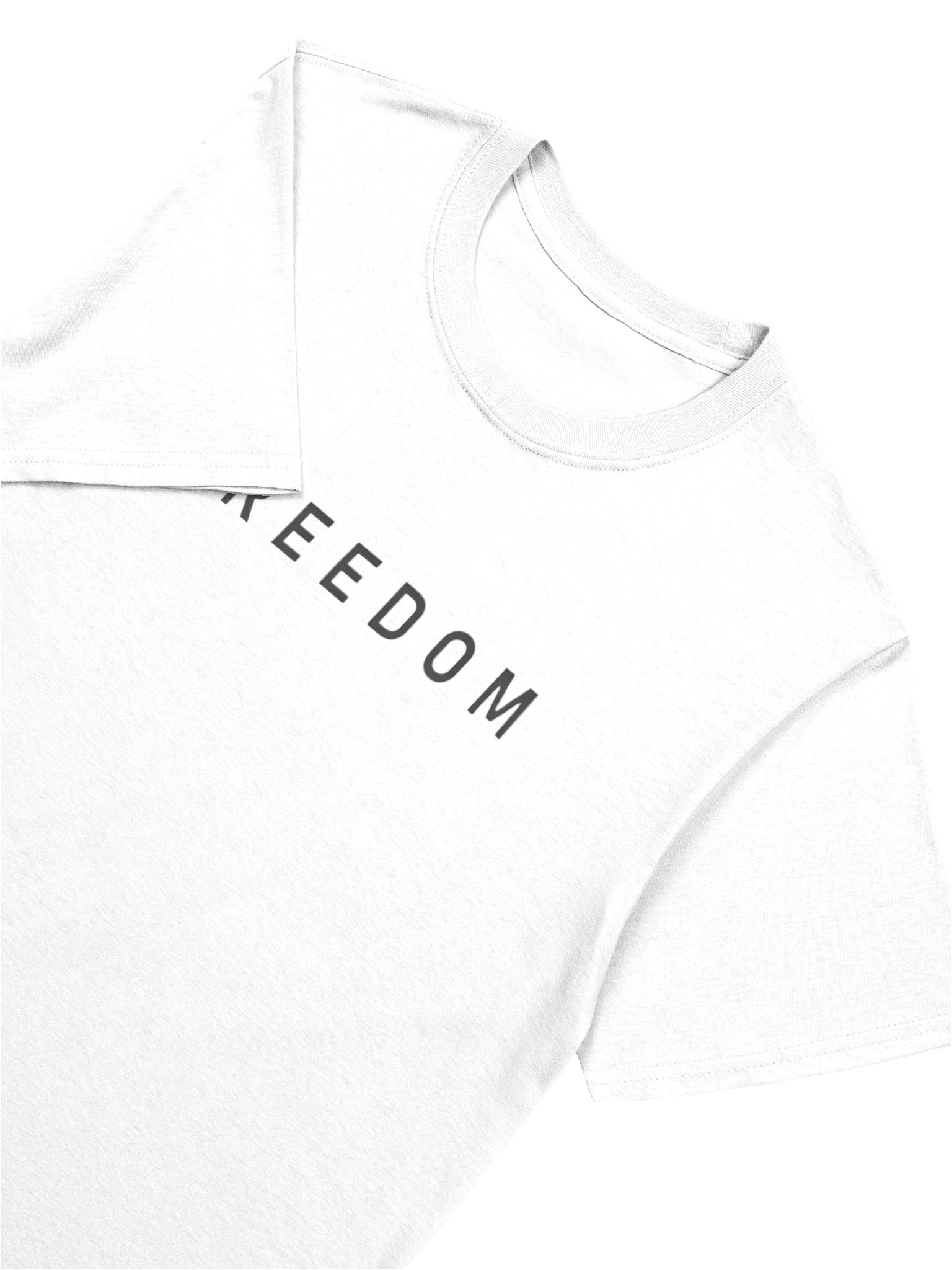 Charlie Kirk Freedom Shirt – Liberty Free Speech & the Pursuit of Truth product image (12)