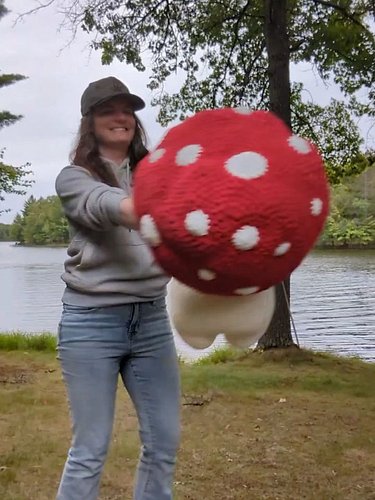 Made this little child over the weekend! Biggest plushie I've made yet! Meet the Mushroom Guy!

Pattern by: @critterstitchdes...