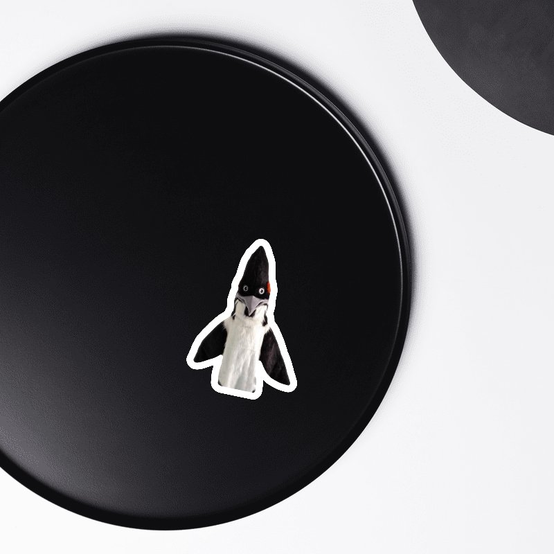 BIRD Magnet product image (1)
