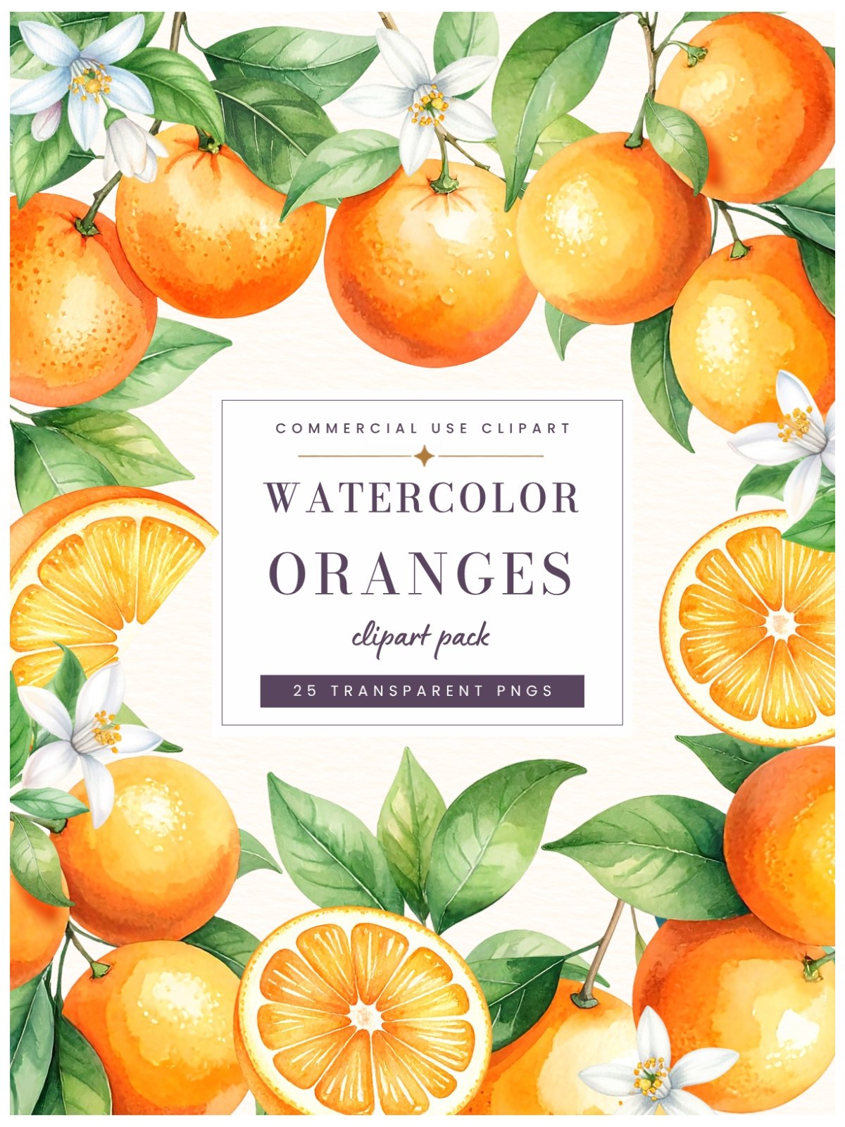 Watercolor Oranges Clipart Pack product image (1)