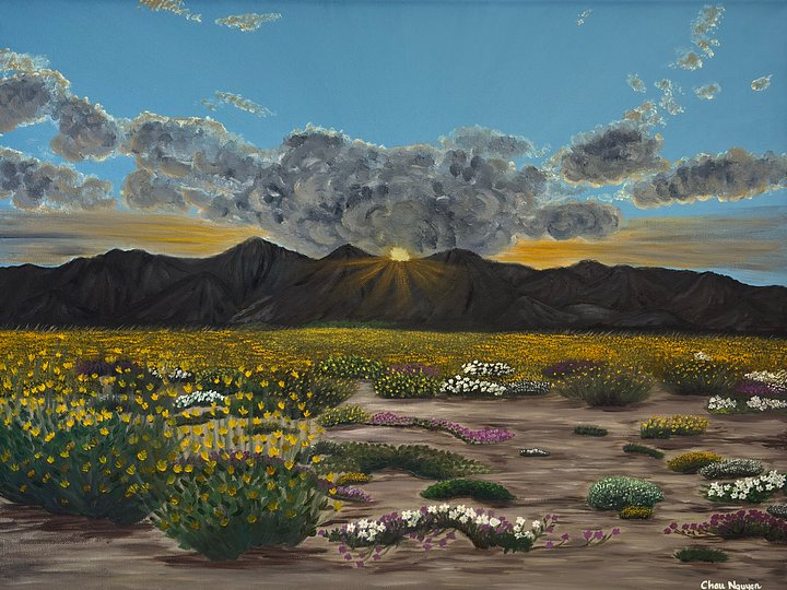 Desert Bloom product image (1)