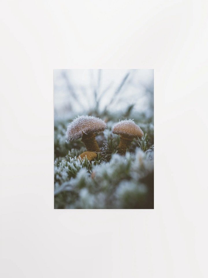 Frozen Over product image (4)