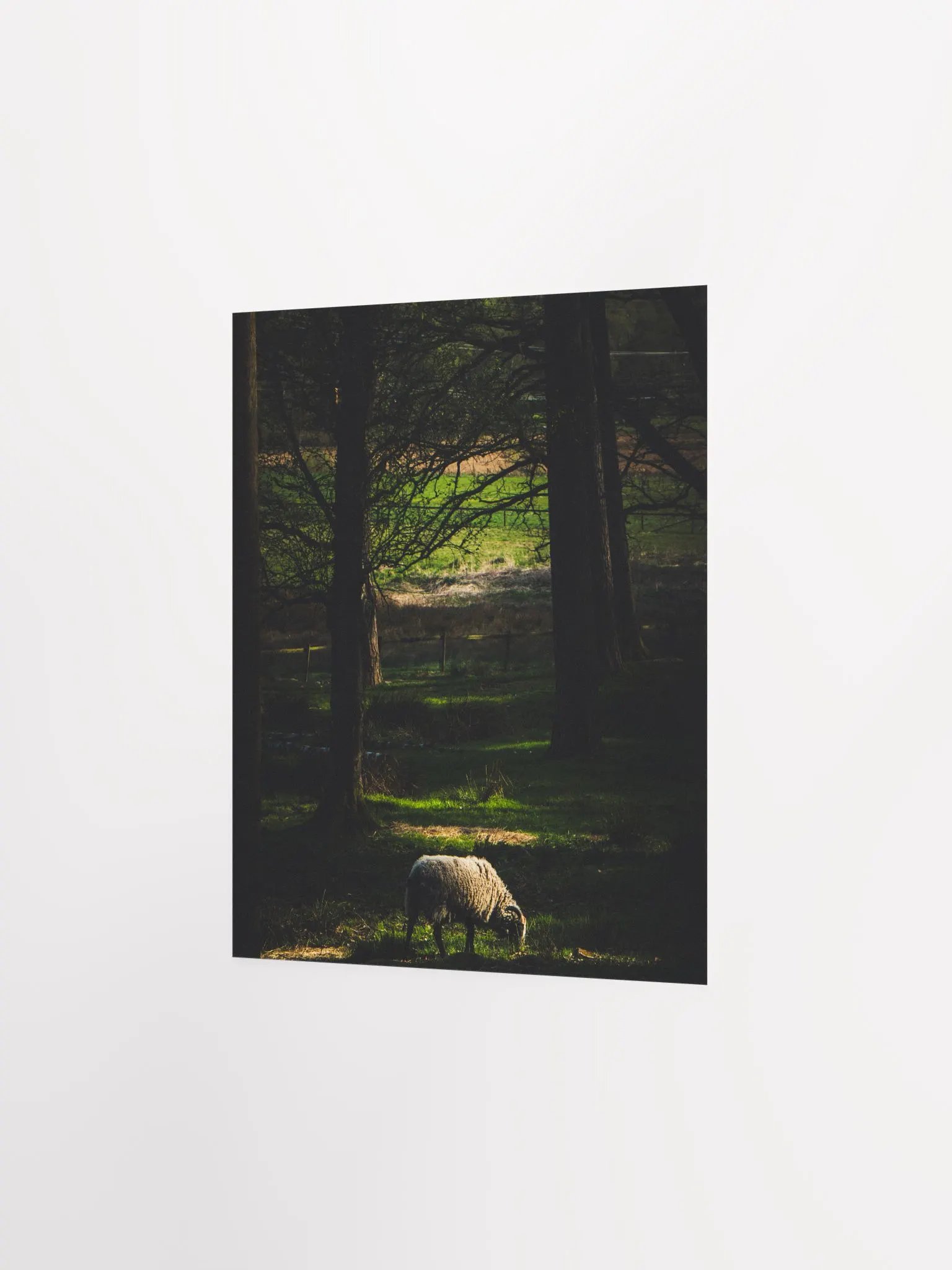 The Goat product image (5)