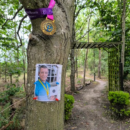 The latest addition to your memorial forest 🥹♥️🫡
@pottersresort #pottersresort #pottersresorts