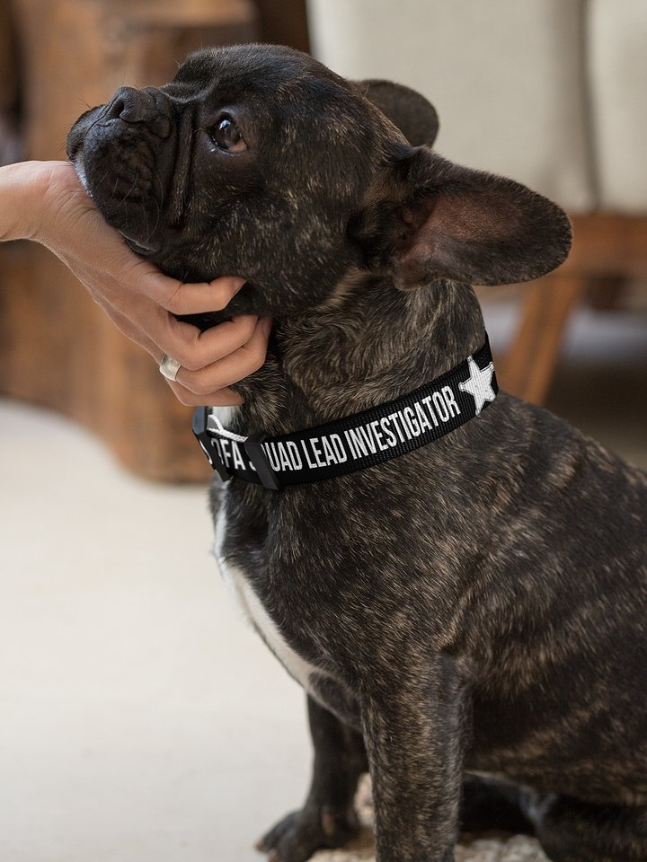 Sofa Squad Lead Investigator Dog Collar product image (2)